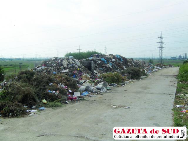 În Dolj, depozitul de gunoi zace la marginea drumului