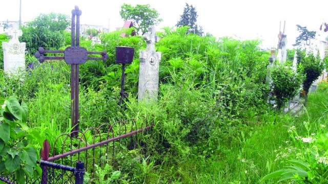 Cimitir- foto arhivă GdS