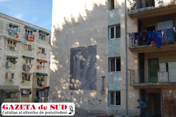 Cele mai bune imagini realizate în cadrul acestui proiect au fost afişate pe clădiri dezafectate, case abandonate sau pe imobile vechi din Craiova