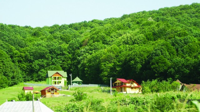 Case ecologice, la marginea unei păduri
