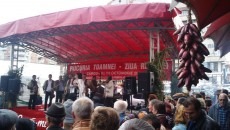 Ansamblul Folcloric “Doina Gorjului” a susţinut în Piaţa Centrală din Târgu Jiu un recital cu ocazia Zilei Recoltei (Foto: gorjeanul.ro)