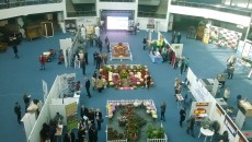 Holul central de la Centrul Multifuncţional Craiova a găzduit Forumul Oamenilor de Afaceri
