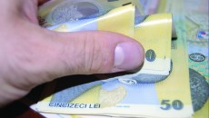 teanc de bani lei (arhivafoto.ro)