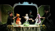 Imagini din spectacolul "Prinţul Broască" de la Teatrul pentru Copii şi tineret "Colibri" din Craiova