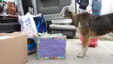 Anul trecut, Moș Crăciun a trimis la Breasta o dubiță plină cu hrană pentru sutele de câini din adăpost - FOTO: Arhiva GdS