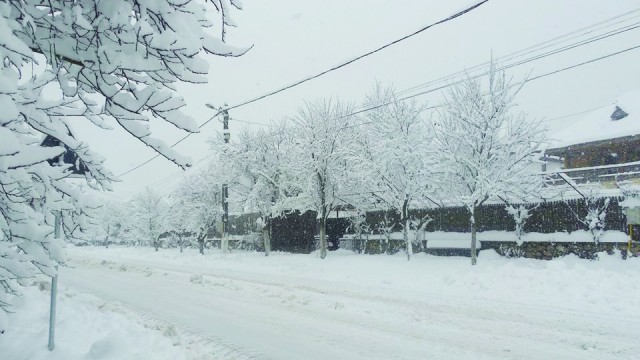Zăpada s-a așternut peste toate localitățile județului Gorj (Foto: Eugen Măruţă)