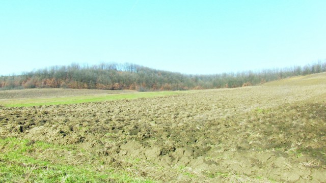 Zeci de mii de hectare de teren au rămas nearate, din cauza ploilor. Cei care  au reușit să are au avut costuri suplimentare substanțiale. (FOTO: arhiva GdS)