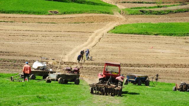 Agricultorii doljeni depind de subvențiile de la UE și le așteaptă în fiecare an, cu sufletul la gură (FOTO: Arhiva GdS)