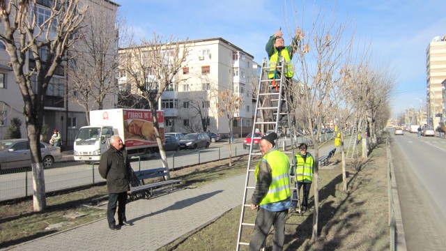 Întreţinerea spaţiilor verzi din Craiova consumă o parte importantă din bugetul Craiovei. 