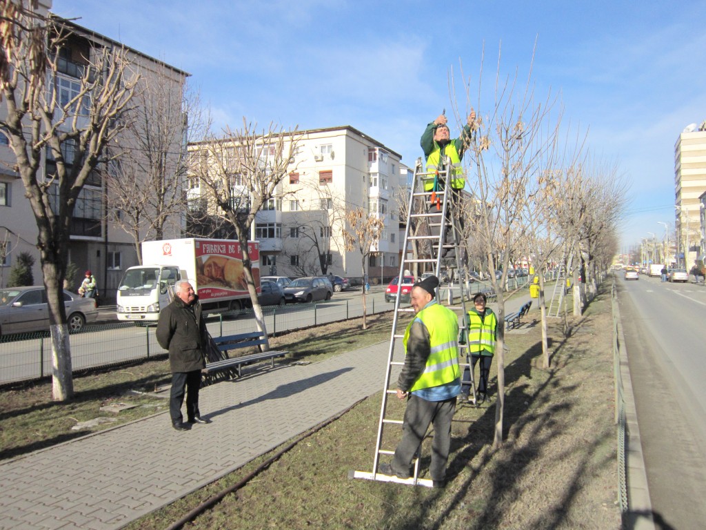 Întreţinerea spaţiilor verzi din Craiova consumă o parte importantă din bugetul Craiovei.