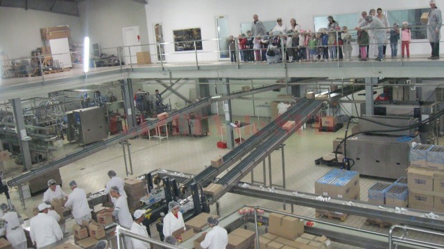Anul trecut au vizitat fabrica de înghețată Top Gel circa 3.500 de persoane, dintre care cei mai mulți au fost copii (FOTO: arhiva GdS)