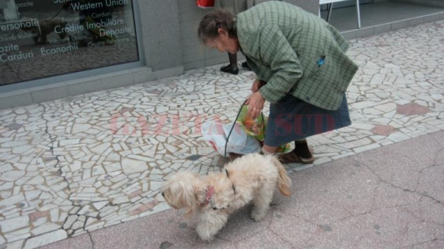 Târgujienii îşi pot castra gratuit câinii sau pisicile (Foto: Eugen Măruţă)