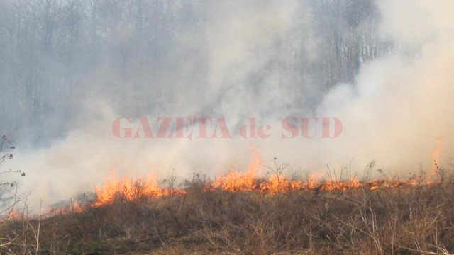 Incendiile îi lasă fără subvenţii pe fermieri