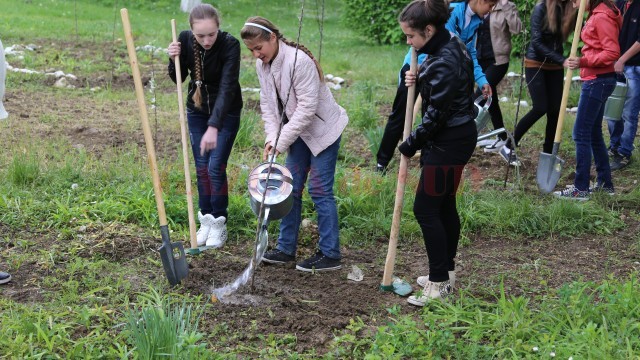 Copiii au participat personal la plantarea merilor (Foto: Eugen Măruţă)