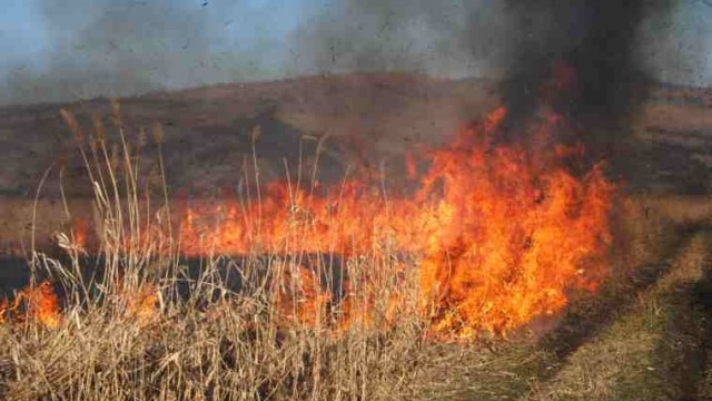 Olt: Polițist mort în timp ce încerca să stingă un incendiu de vegetație