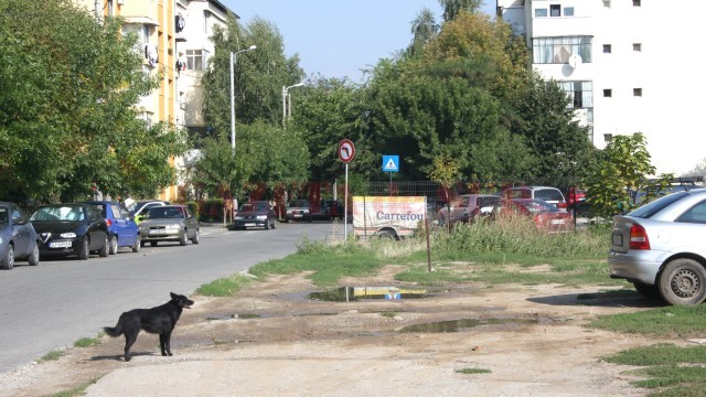 Și trotuarele fac parte din infrastructura de care se plâng mulți dintre locuitorii din Valea Roșie (FOTO: Anca Ungurenuş)