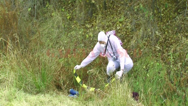 Corpul neînsufețit al femeii a fost găsit pe 13 iulie 2015, pe un câmp din apropierea comunei Lipovu