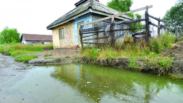 Casa familiei Drăgușin (Foto: Ana Dănescu)