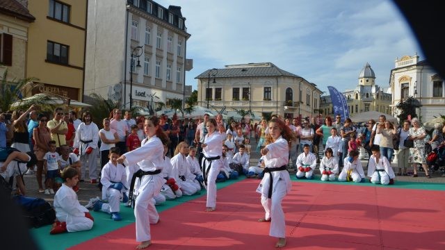 Karateka de la LPS "Petrache Trişcu", multiple campioane la competiţii importante