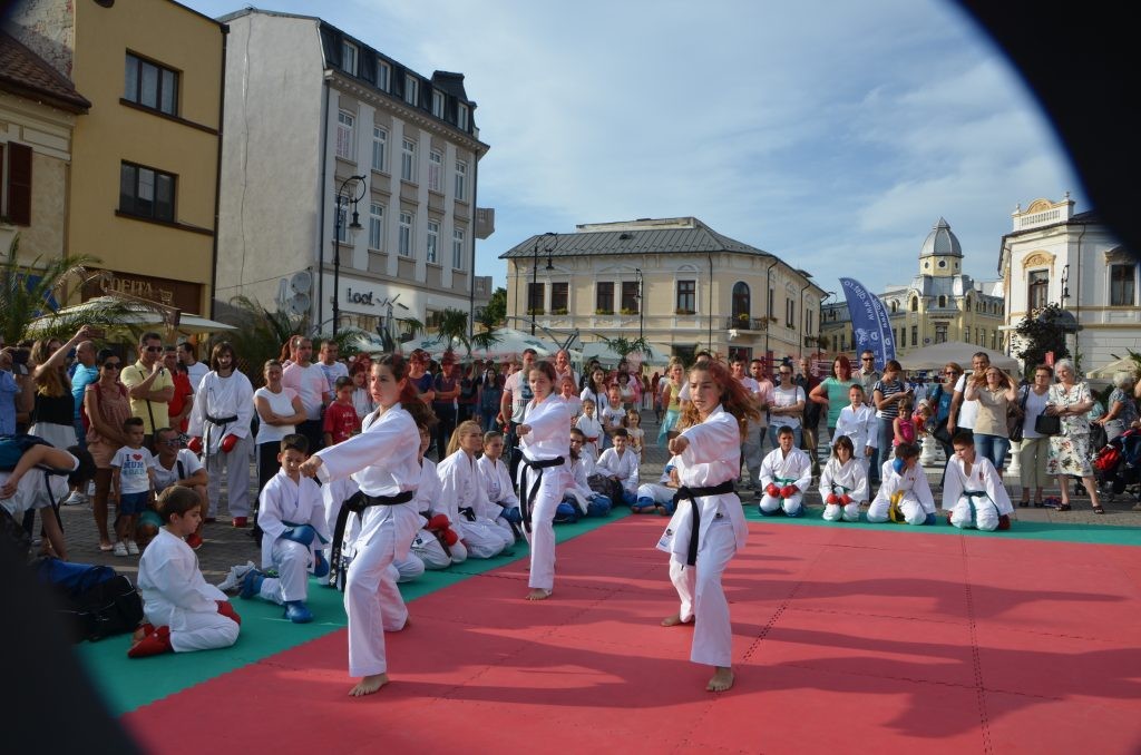 Karateka de la LPS "Petrache Trişcu", multiple campioane la competiţii importante