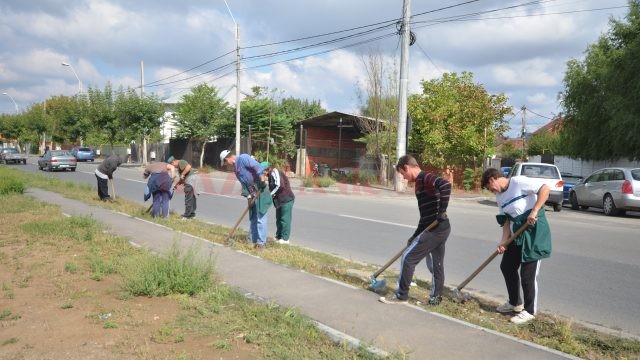 Angajații RAADPFL au început să curețe de buruieni spațiul verde de pe strada Râului (FOTO: Traian Mitrache)
