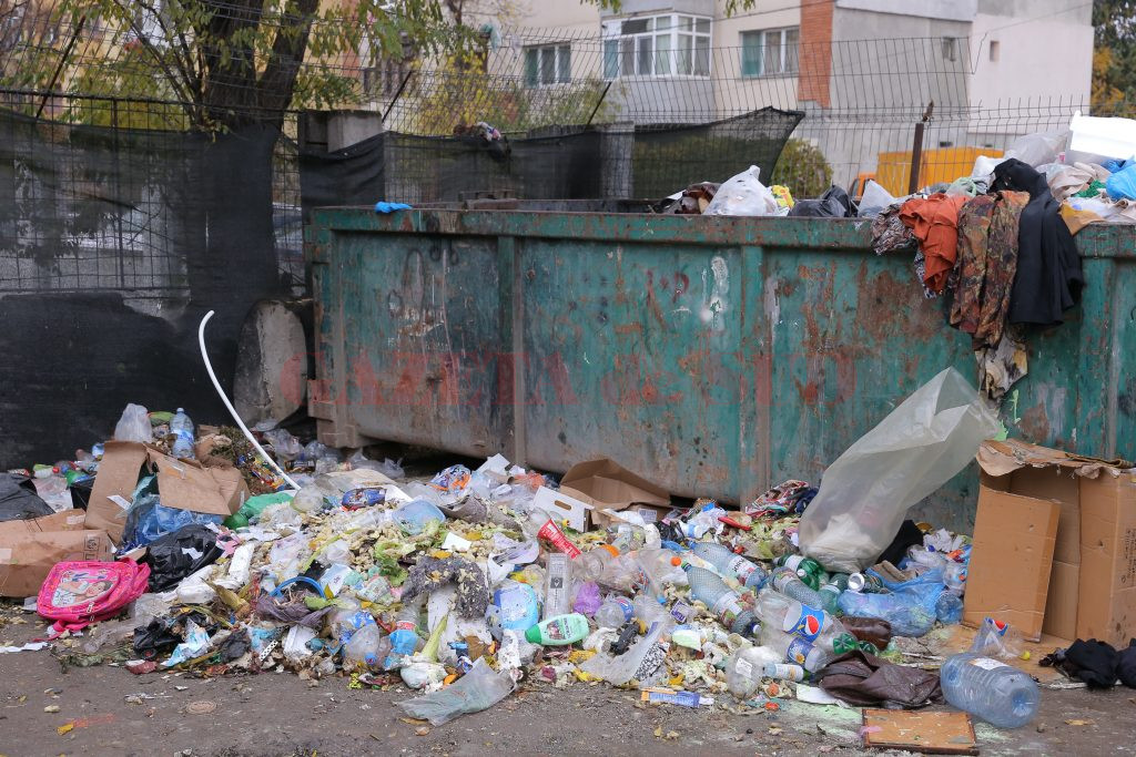 Platformă de gunoi din cartierul 1 Mai (Foto. Lucian Anghel)