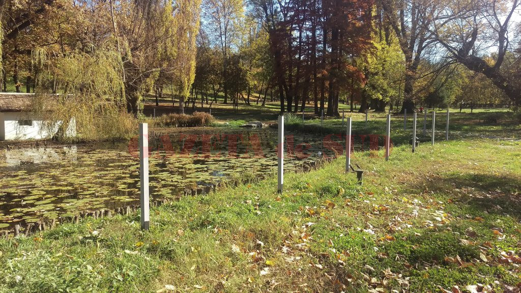 S A Dat Verde La Reluarea LucrÄƒrilor In Parcul Romanescu Gazeta De Sud