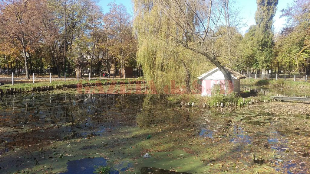 Gardul care împrejmuiește lacul și insula de la intrarea în Parcul „Romanescu“ a primit avizul Ministerului Culturii în privința finalizării (Foto: Marian Apipie)