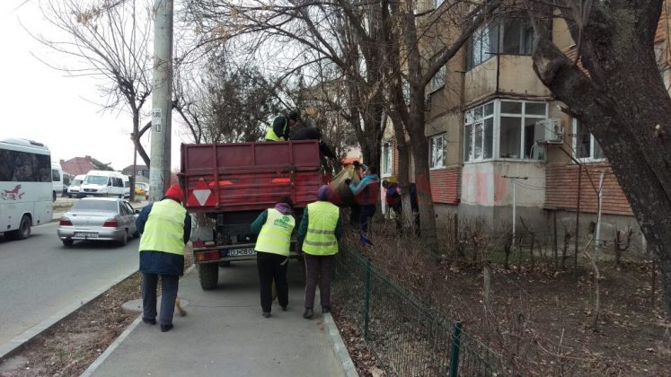 Din toate activitățile derulate de RAADPFL Craiova în 2019, Regia s-a ales la final de an cu un profit de 223.000 de lei
