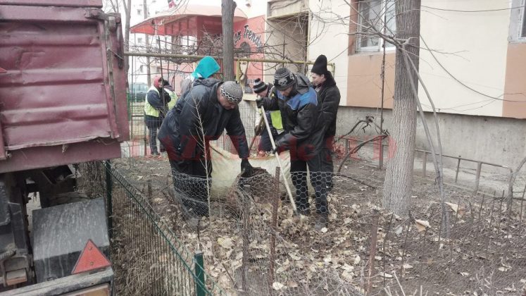 Pentru tăierile de regenerare la arbori, arbuști și garduri vii și pentru transportul resturilor vegetale, RAADPFL Craiova a încasat un milion de euro de la primărie. Lucrările sunt executate în perioada ianuarie – martie 2020.