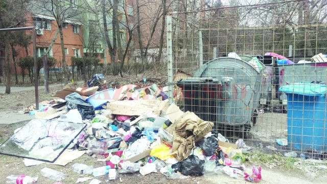 Platforma din cartierul 1 Mai, de unde miercuri nu se ridicase gunoiul aruncat lângă containere (Foto: Marian Apipie)