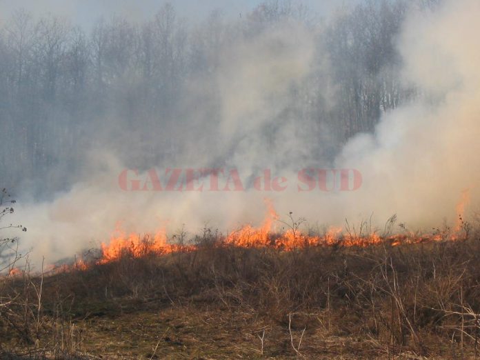 incendiu vegetatie uscata 1