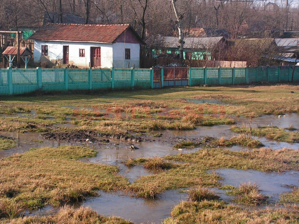 Cu ani în urmă, inundațiile au făcut prăpăd în Dolj. Mai multe case și gospodării din Sopot au fost afectate în 2005 de inundații