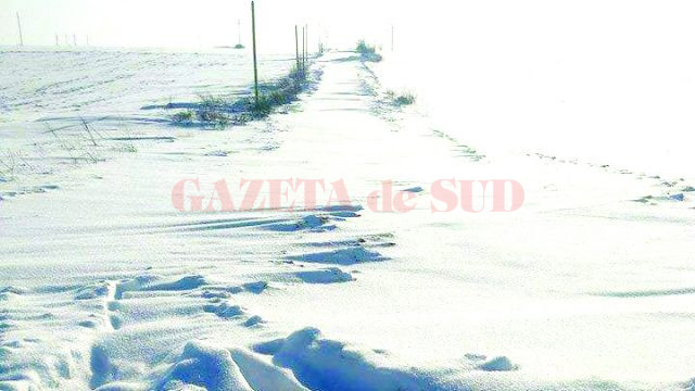 Drumul spre satul Foişor (Foto: cititor GdS)