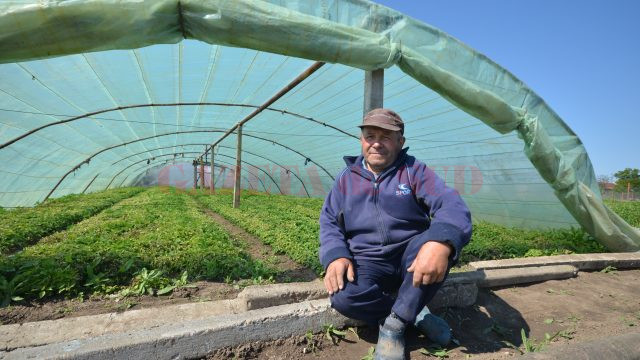 Agricultorii din Răcari spun că nu mai este timp să înlocuiască răsadurile distruse de ger cu altele (Foto: Bogdan Grosu)