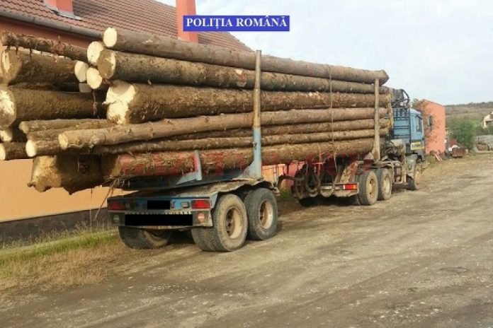 lemne Transportatorii de material lemnos, în atenția polițiștilor