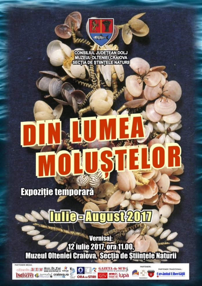 afis expozitie moluste