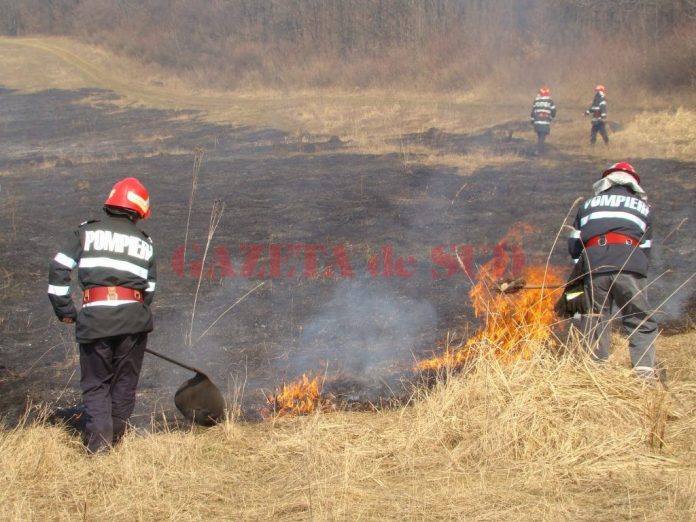 incendiu-vegetatieradioresita.ro_
