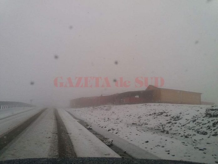 transalpina zapada