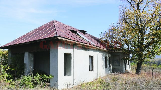 Goiești este comuna copilăriei poetului și scriitorului Alexandru Macedonski. Casa memorială Macedonski a fost însă lăsată în paragină. (Foto: Lucian Anghel)