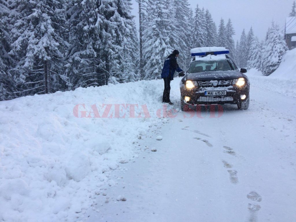 Craioveni rătăciți în pădurile din Voineasa, găsiți de jandarmi