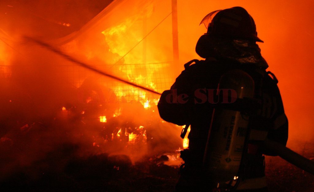 Hala unei fabrici de peleţi, mistuită de un incendiu