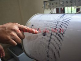 Cutremur în Muntenia