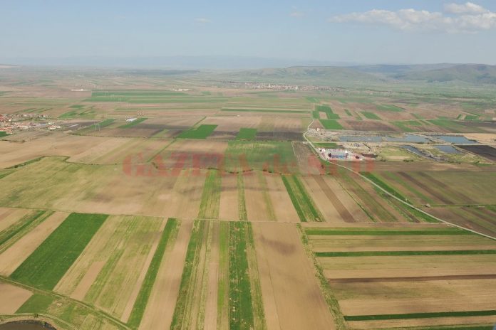 Doi dintre inculpați sunt acuzați că au obținut bani de la APIA pentru terenuri agricole pe care nu le dețineau în realitate