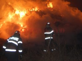 80 de hectare de vegetaţie, devorate de un incendiu provocat, în Buzău