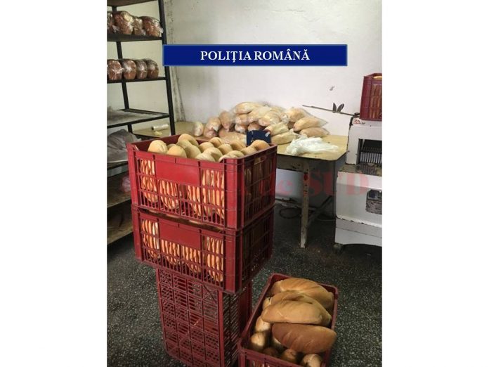 panificatie 3 - 23.02