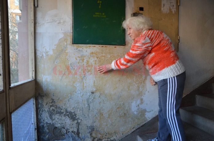 Valeria Papa s-a plâns că îi curge apă în apartament de aproape două luni și asociația nu se implică