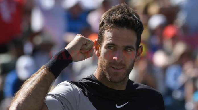 Juan Martin del Potro