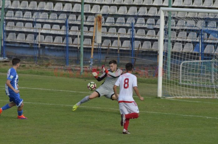 papura