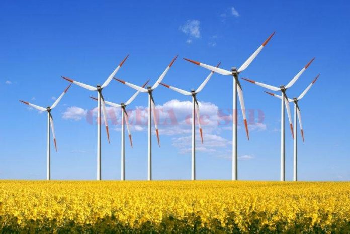eoliana